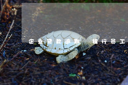 企业贷款逾期 银行员工处罚 企业贷款逾期 银行员工处罚